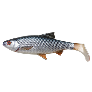 4D River Roach-Irish Bait & Tackle Ltd-Roach-Irish Bait & Tackle