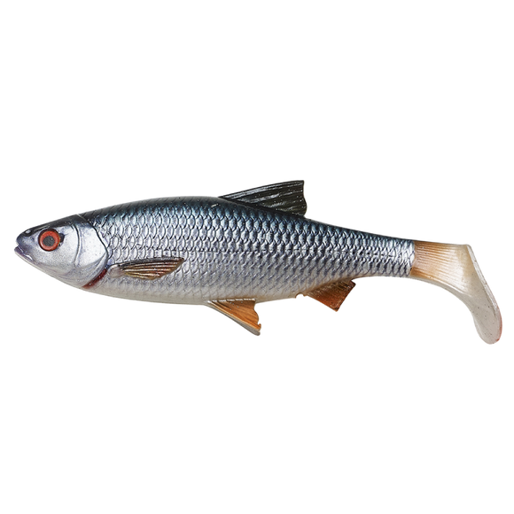 4D River Roach-Irish Bait & Tackle Ltd-Roach-Irish Bait & Tackle