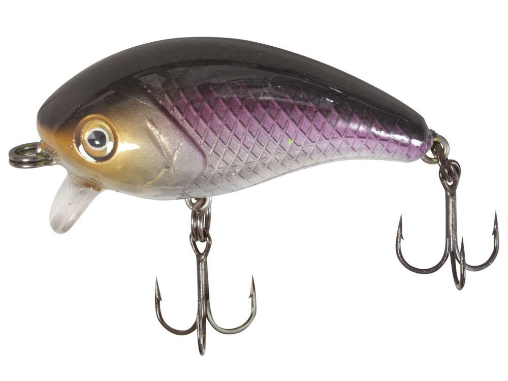 Quantum Bay 1-Minus Lures – Irish Bait & Tackle Ltd