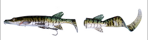 Savage Gear 3D Hybrid Pike-Soft Lures-Savage Gear-Irish Bait & Tackle